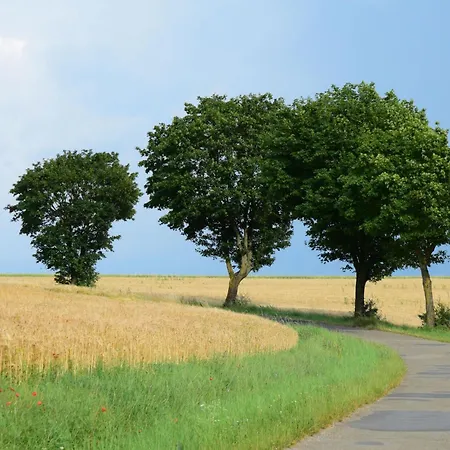 Holiday home Nassauer Forsthaus By Interhome Weikersheim