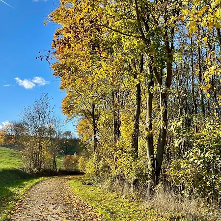 Nassauer Forsthaus By Interhome *