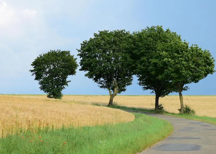 別荘 Nassauer Forsthaus By Interhome ヴァイカースハイム